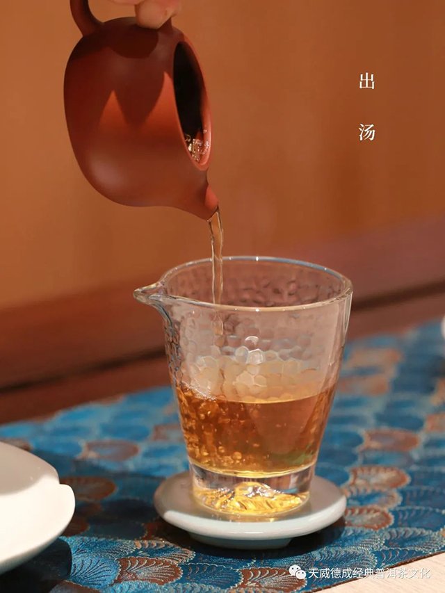 天威德成2023年亦悟普洱茶品质特点
