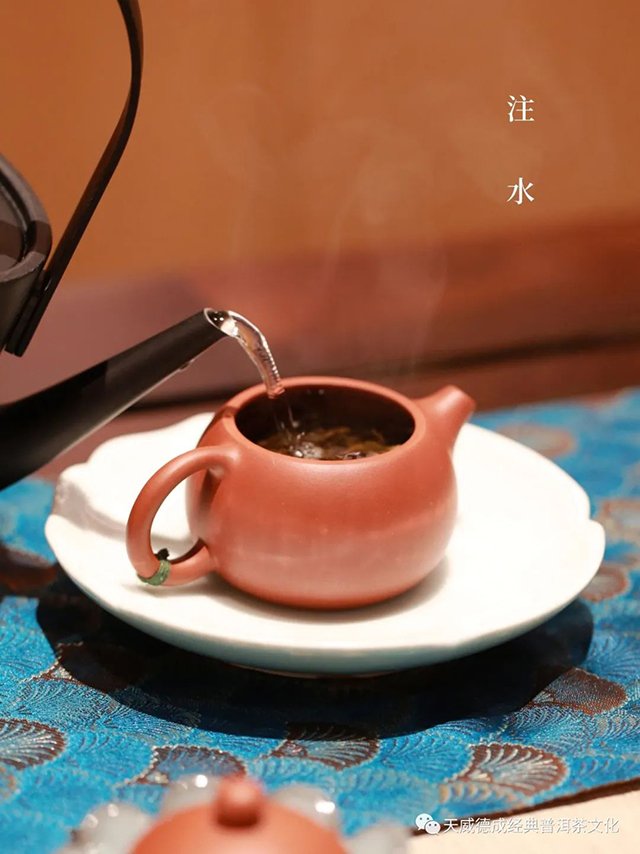 天威德成2023年亦悟普洱茶品质特点
