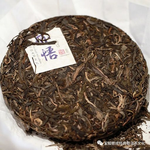 天威德成2023年亦悟普洱茶品质特点