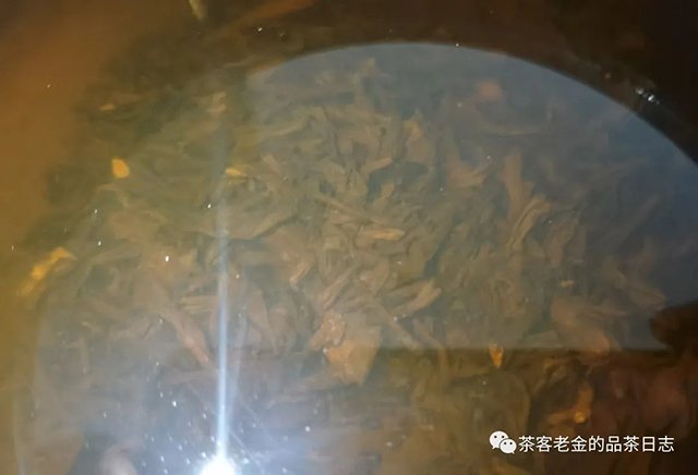吾茶共饮2023年弯弓熟茶普洱茶