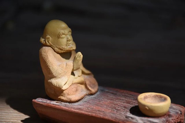 智德鸿昌白莺山茶王近日开采