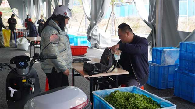 茶农在柘荣城乡茶青交易中心交付茶青