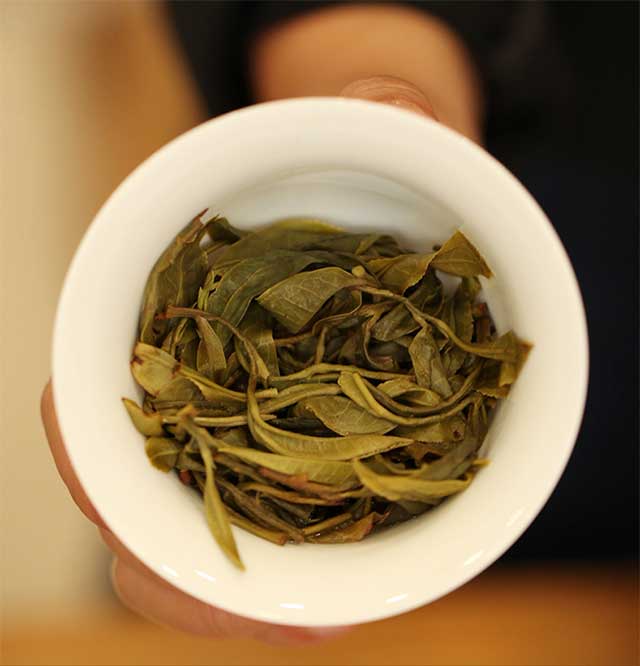 荣瑞祥普洱茶2023年隐春茶