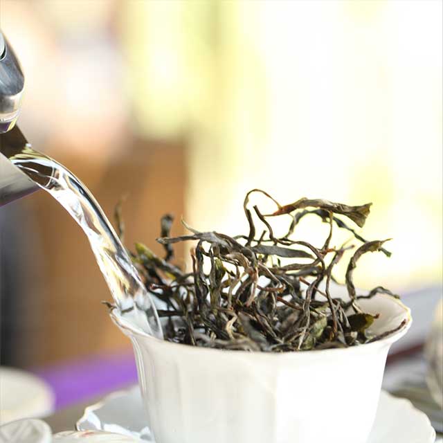 普洱茶 今年极端干旱的气候对普洱茶的品质有什么影响?