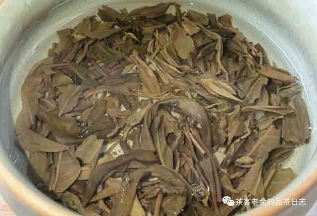笑我疯颠不足道普洱茶