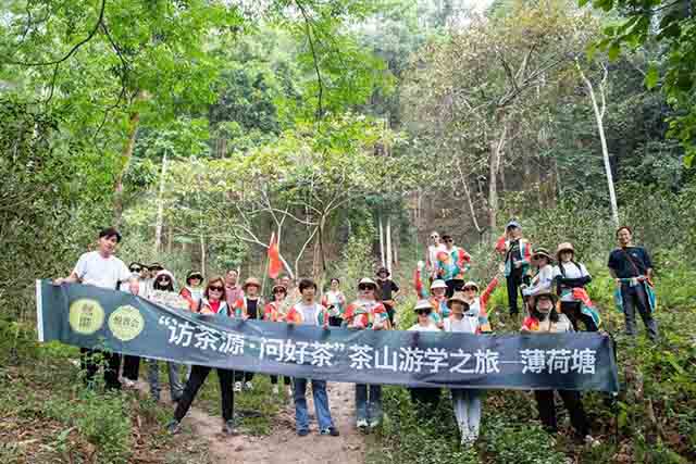 双陈普洱2023第二场悦普会茶山游学之旅