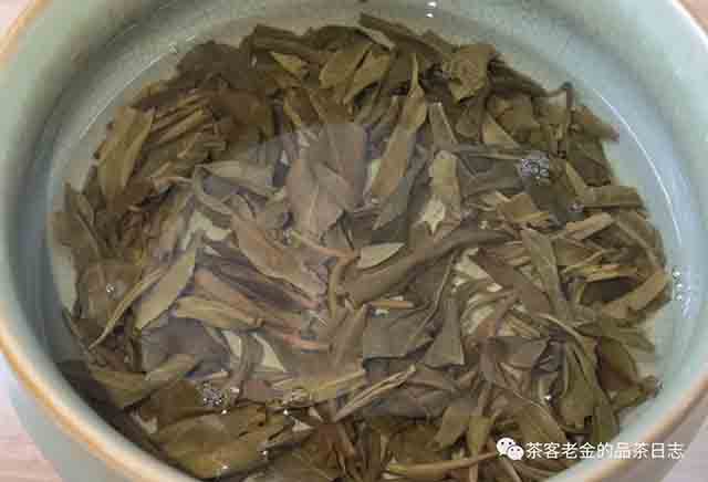 笑我疯颠2023年竹叶草普洱茶