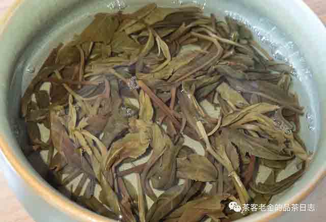 流星赶月普洱茶2023年铜箐河高杆