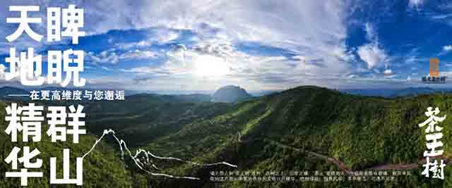 2023年福元昌古树茶王地系列200克普洱茶