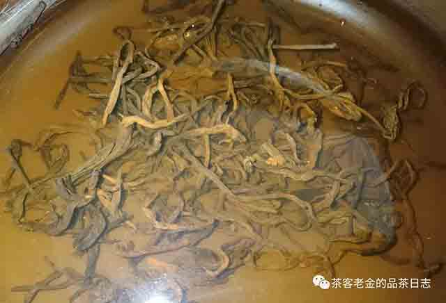 吾茶共饮2023年如悟普洱茶