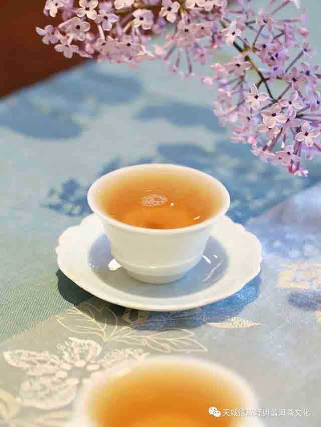 天威德成2023年云集生茶