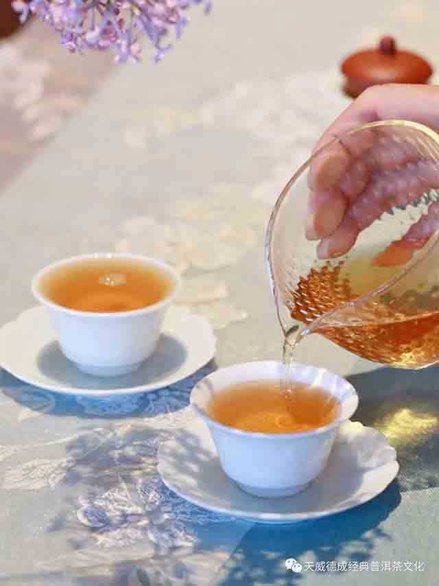 天威德成2023年云集生茶