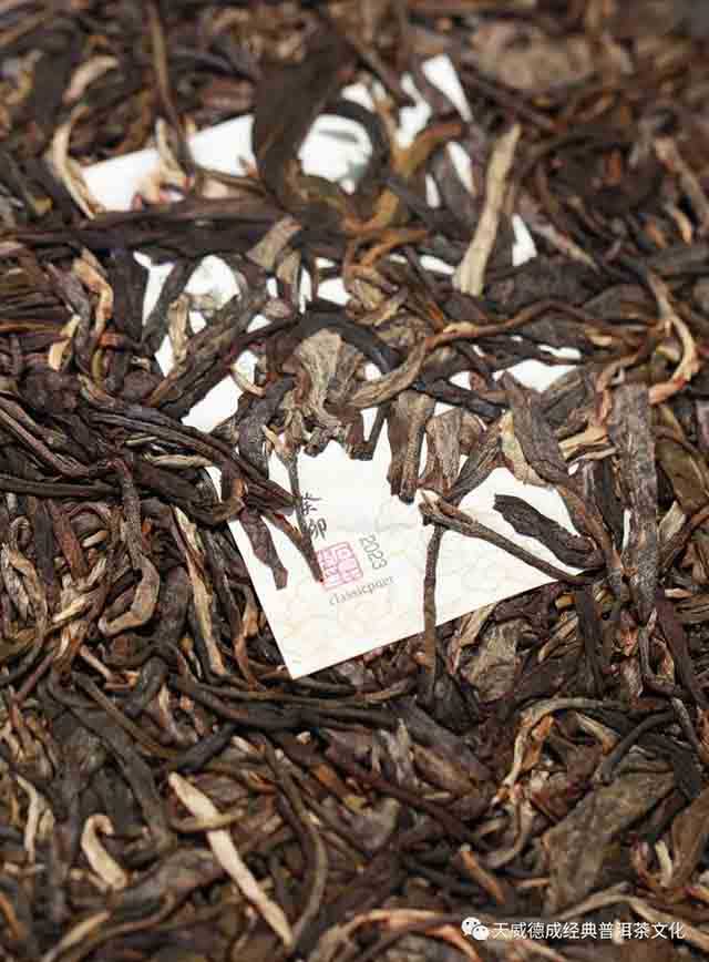 天威德成2023年云集生茶
