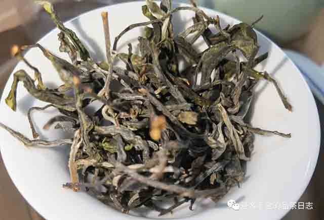 吾茶共饮2023年拼配三款普洱茶