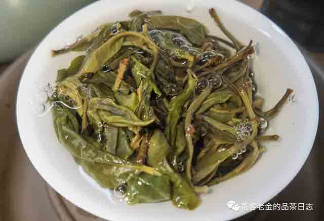 吾茶共饮2023年拼配三款普洱茶