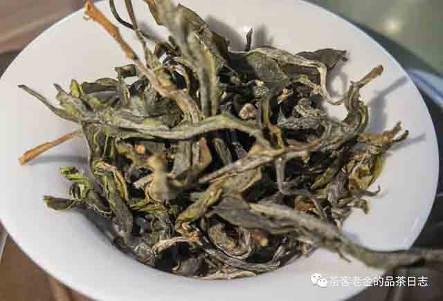 吾茶共饮2023年拼配三款普洱茶