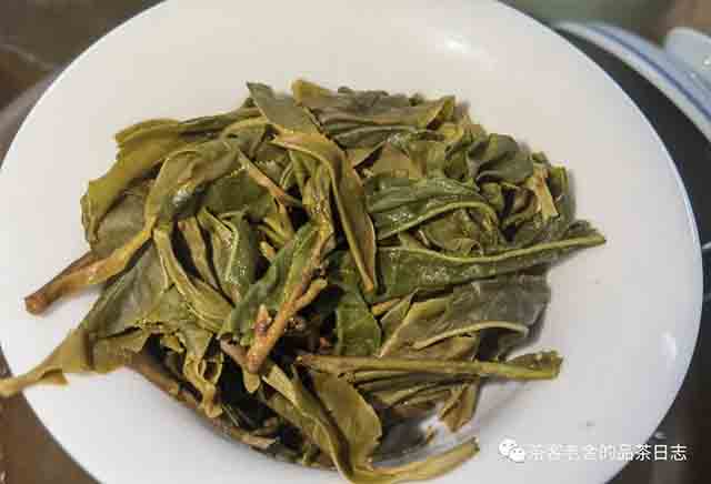 吾茶共饮2023年拼配三款普洱茶