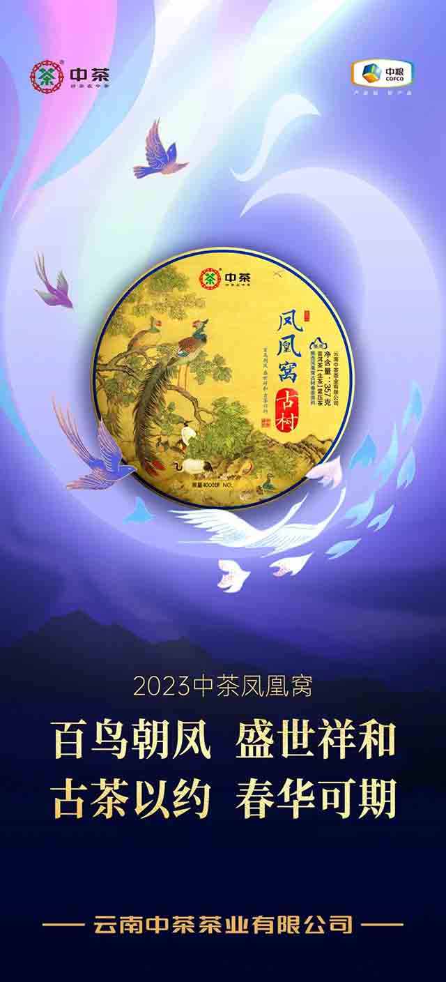 中茶凤凰窝古树茶普洱茶品质特点
