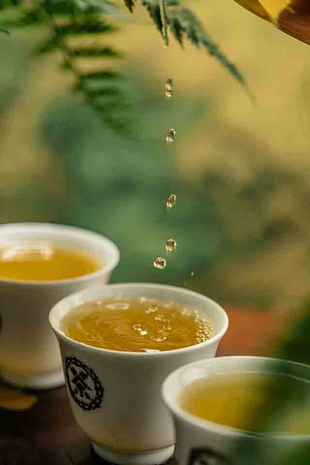 中茶凤凰窝古树茶普洱茶品质特点