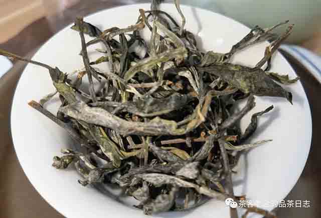 栩月古茶2023年易武森野班章普洱茶