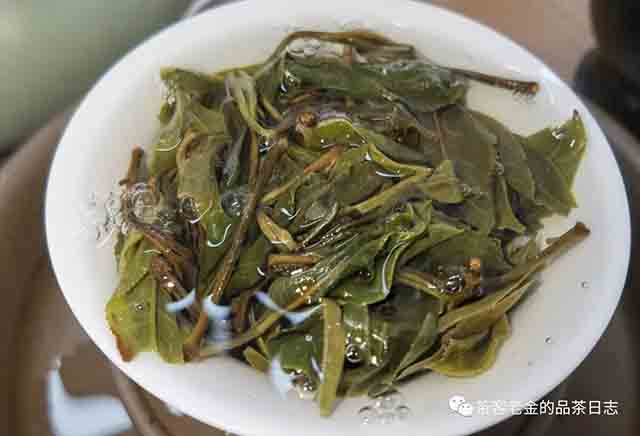 栩月古茶2023年易武森野班章普洱茶