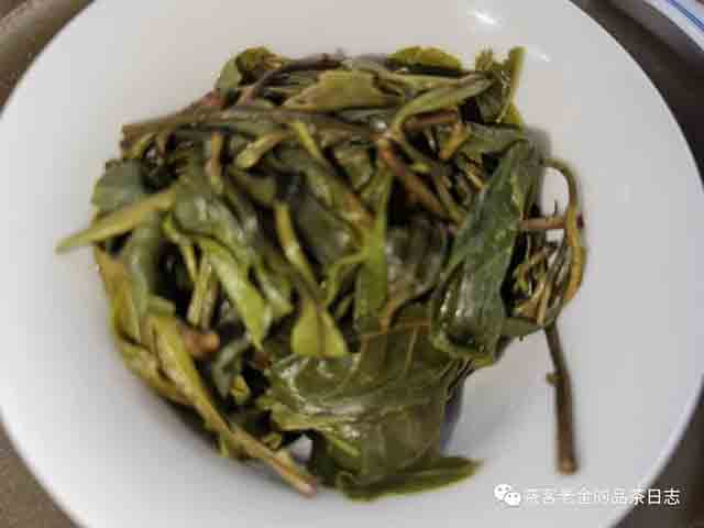栩月古茶2023年易武森野班章普洱茶