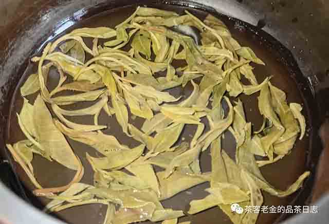 笑我疯颠2023年茶王地班章普洱茶