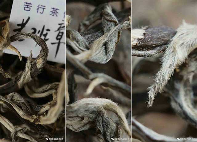 笑我疯颠2023年茶王地班章普洱茶