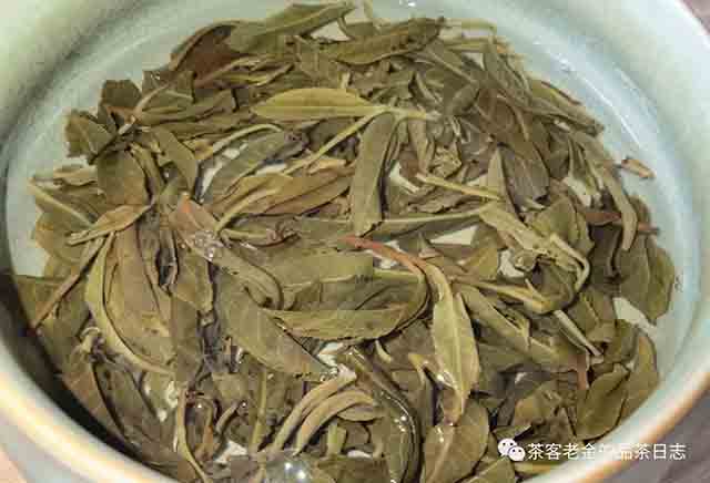 茶者无喧2023年倚邦大黑山普洱茶