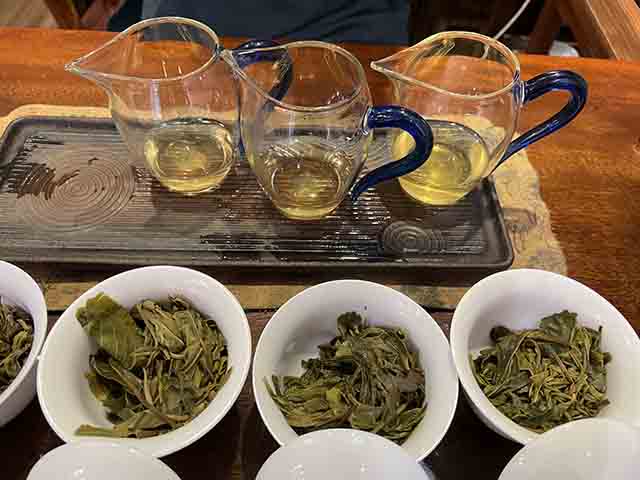 2023年小荒田古树茶1号样