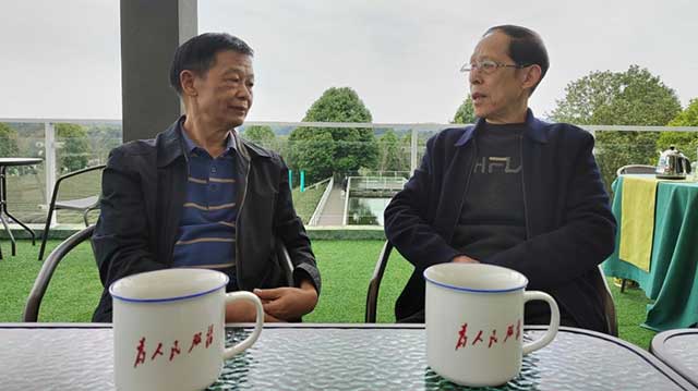 春茶中国行
