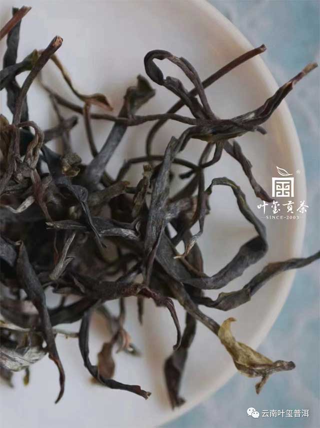 云南叶玺普洱拾年普洱茶