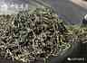 云南叶玺普洱拾年普洱茶