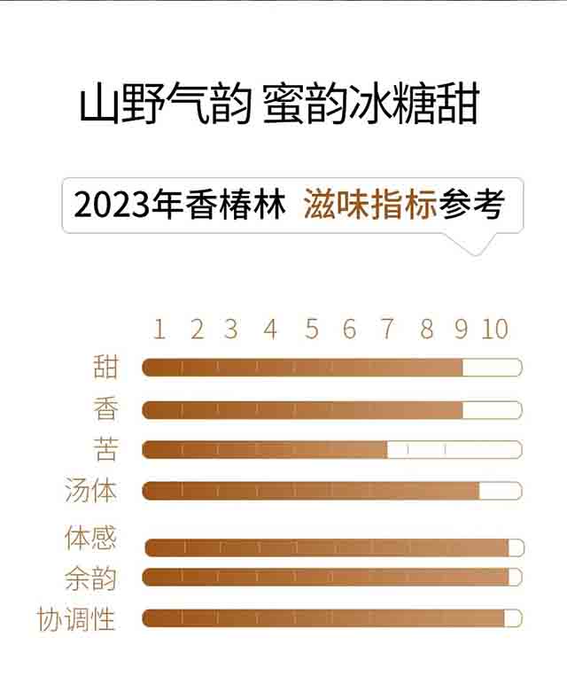 ������2020�������㴻���ն���