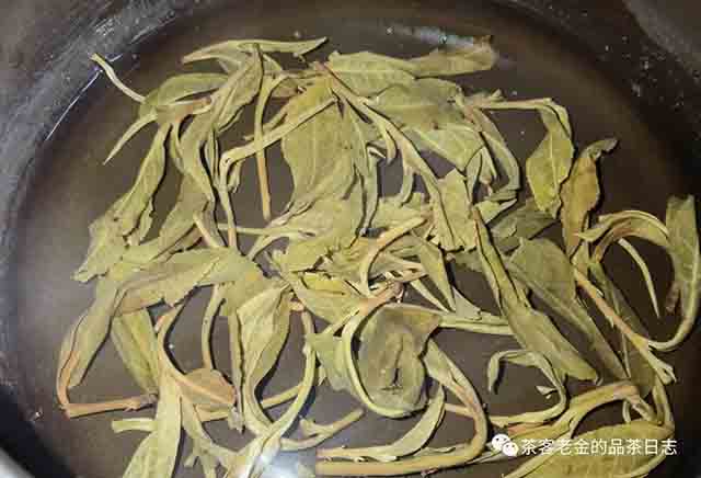 孙德忠2023年莫问普洱茶
