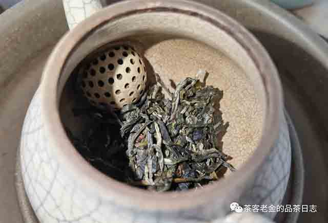 茶者无喧2023年倚邦有林M普洱茶