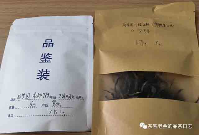 吾茶共饮2023年白茶园高杆挑采七棵普洱茶