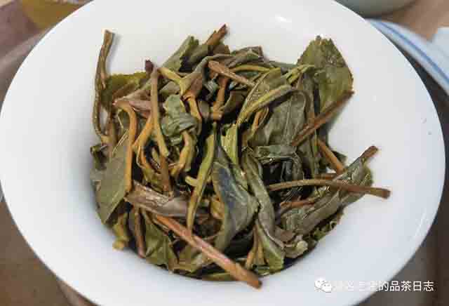 吾茶共饮2023年白茶园高杆挑采七棵普洱茶