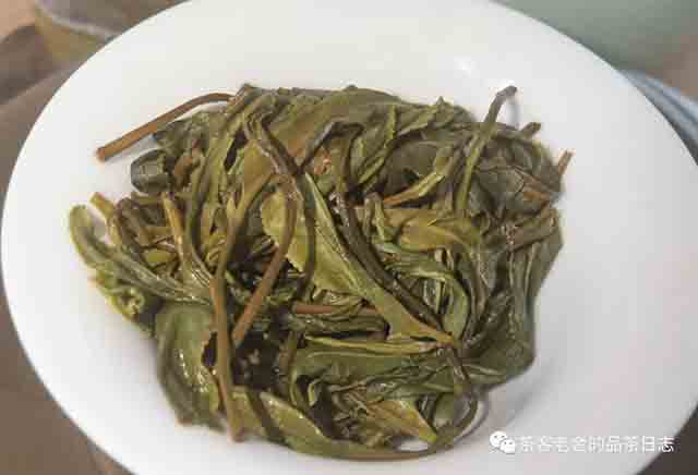 困鹿山制茶人昔归忙麓山1号单株普洱茶