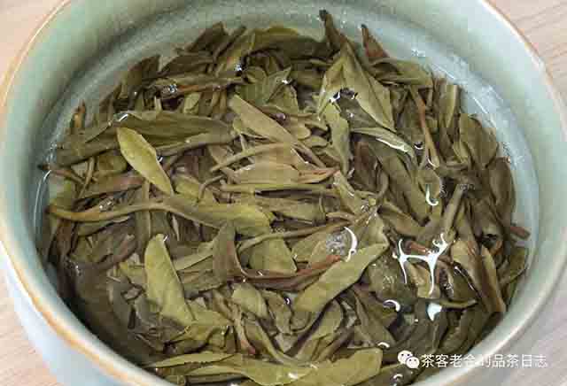 彤掌柜2023年勐麻河小冰岛普洱茶