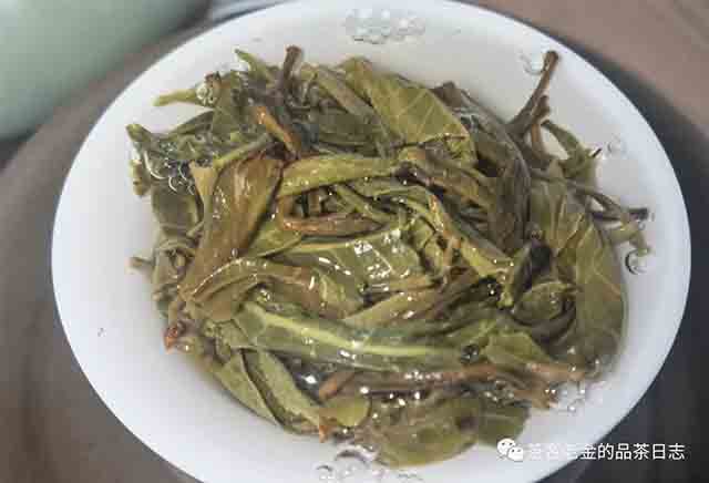 栩月古茶2023年黑水梁子普洱茶