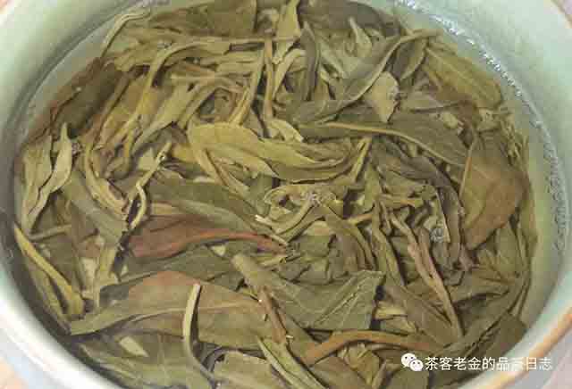 栩月古茶2023年黑水梁子普洱茶