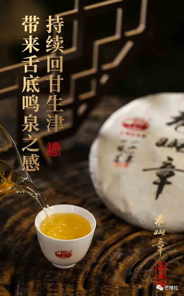 芒嘎拉2023老班章茶王地普洱茶品质特点