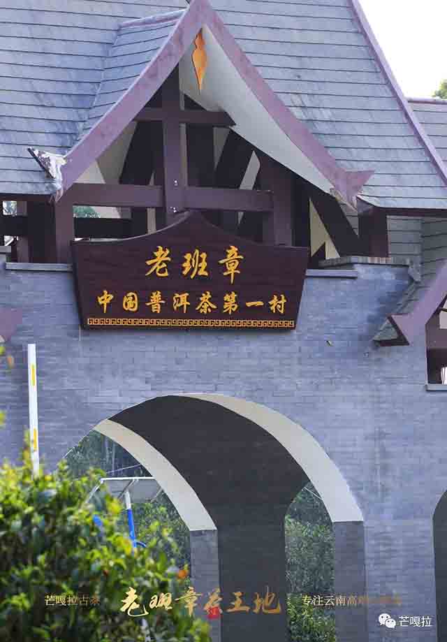 芒嘎拉2023老班章茶王地普洱茶品质特点