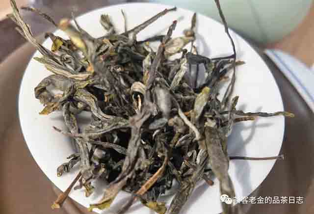 困鹿山制茶人2023年五号地单株普洱茶