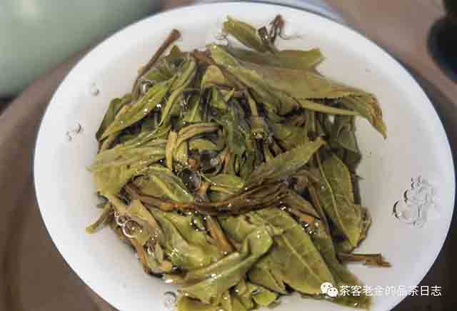 困鹿山制茶人2023年五号地单株普洱茶