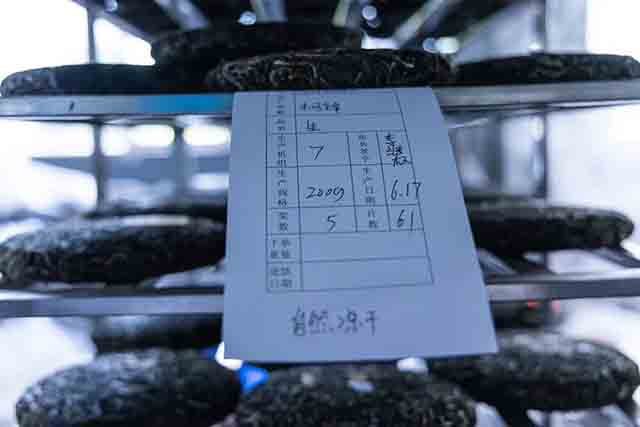 云柯庄园23年春茶上市