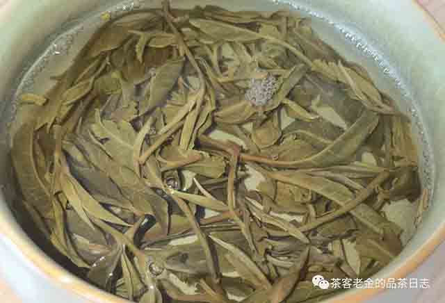 困鹿山制茶人2023年困鹿山大叶单株普洱茶