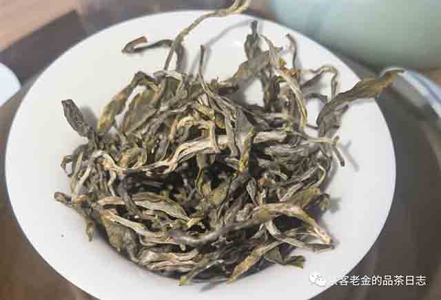 困鹿山制茶人2023年困鹿山圆叶单株普洱茶