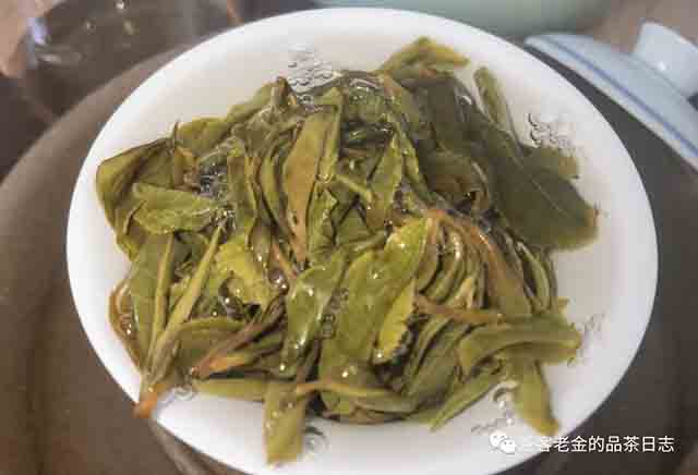 困鹿山制茶人2023年困鹿山圆叶单株普洱茶